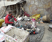 Electronic Wastes